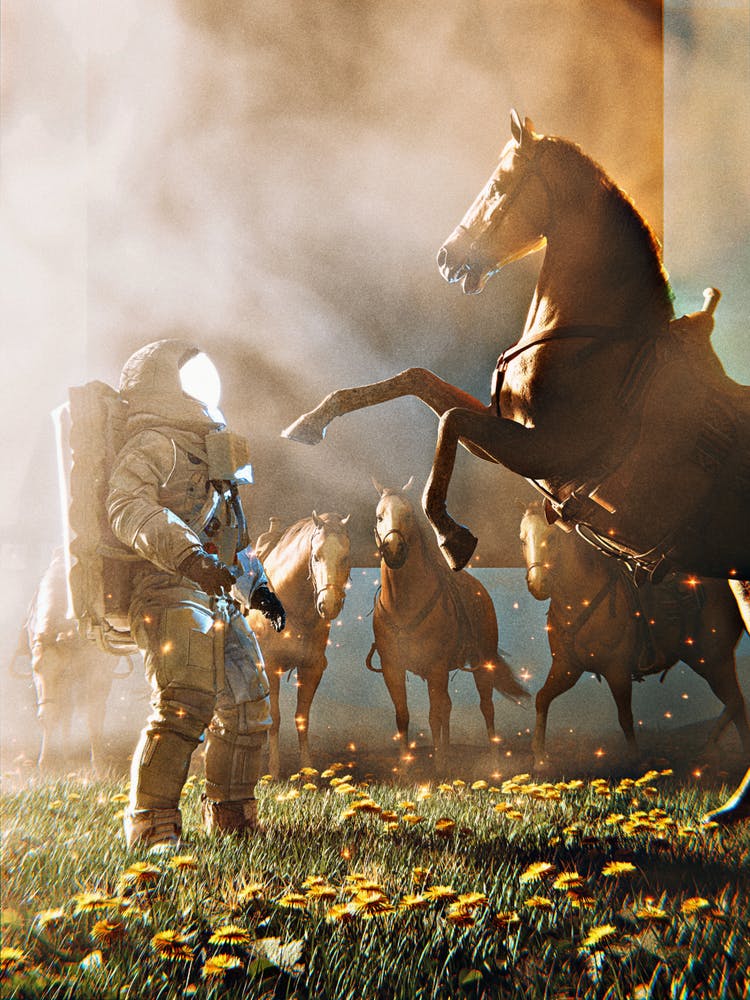 personnes dans un champ avec des chevaux