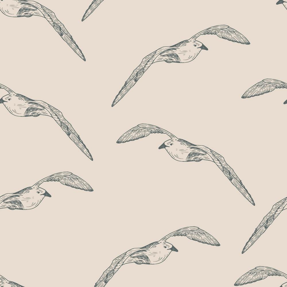 Seagulls In Flight