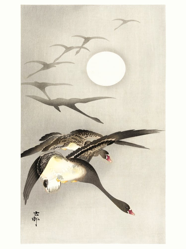 Geese At Full Moon (1930 1945), Ohara Koson