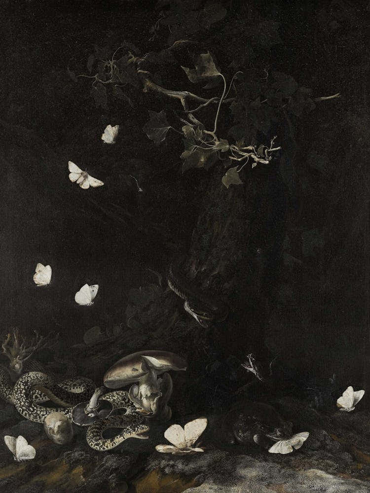 'The Night Of The Butterflies'