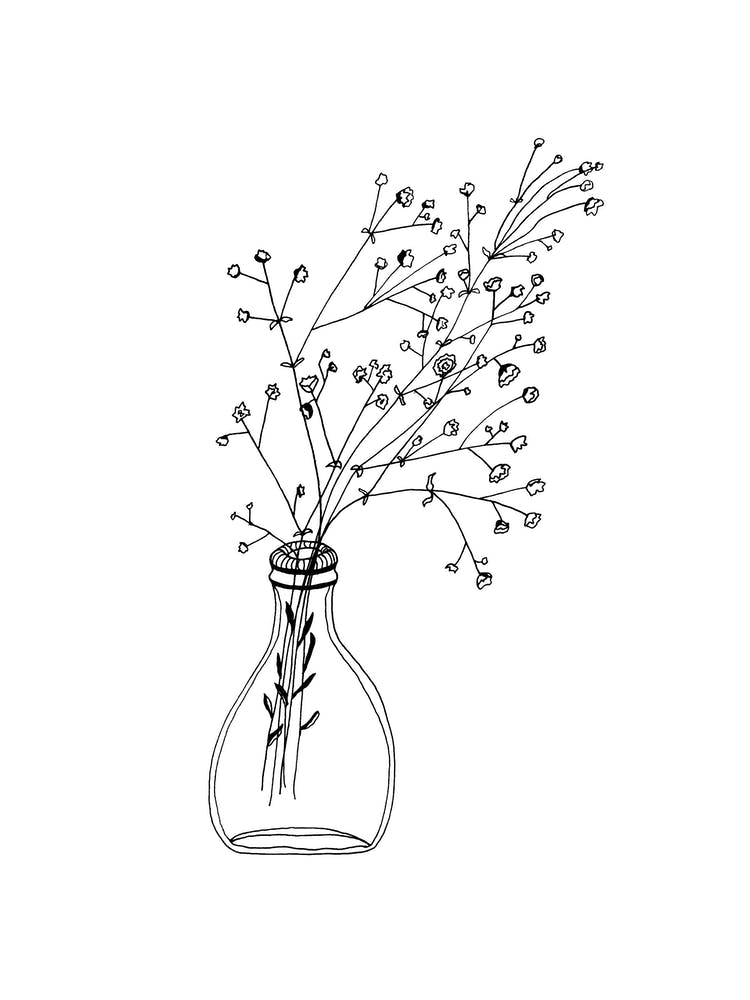 Gypsophilia Whiteflowers