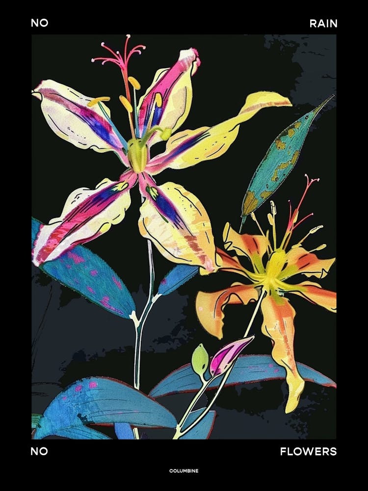 No Rain No Flowers Poster Columbine 1