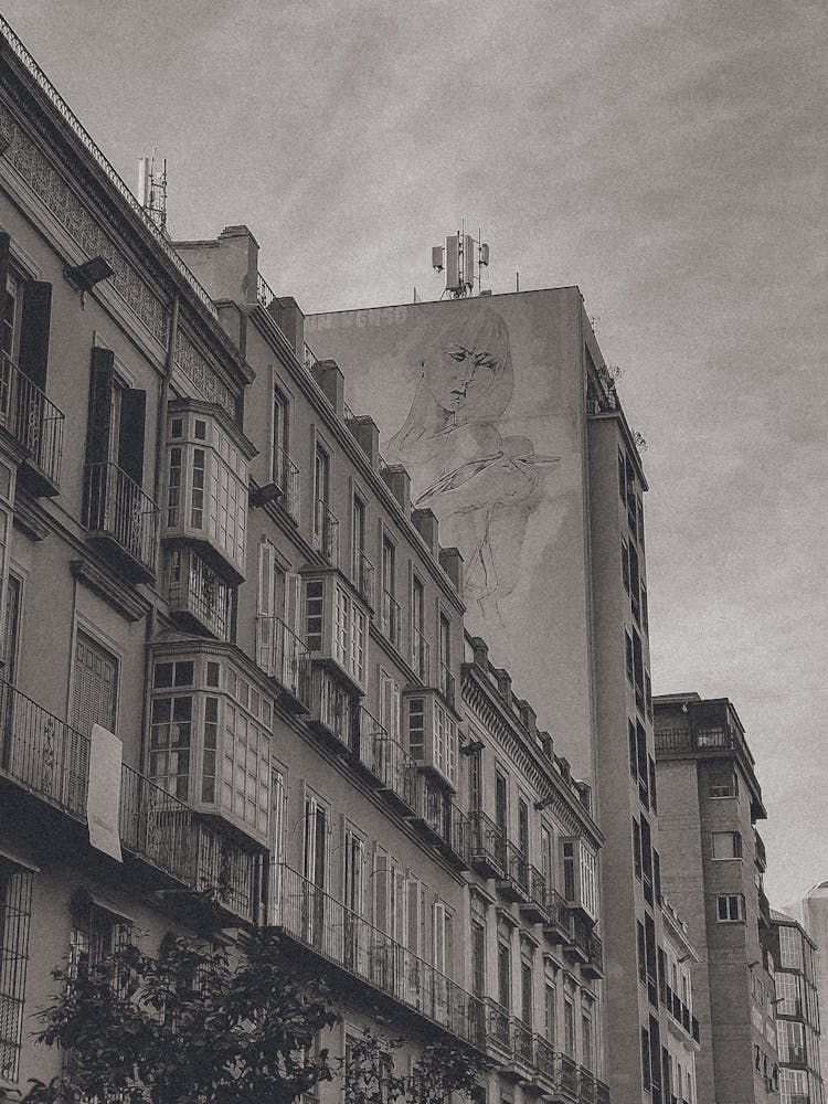 Art Of Malaga, Spain