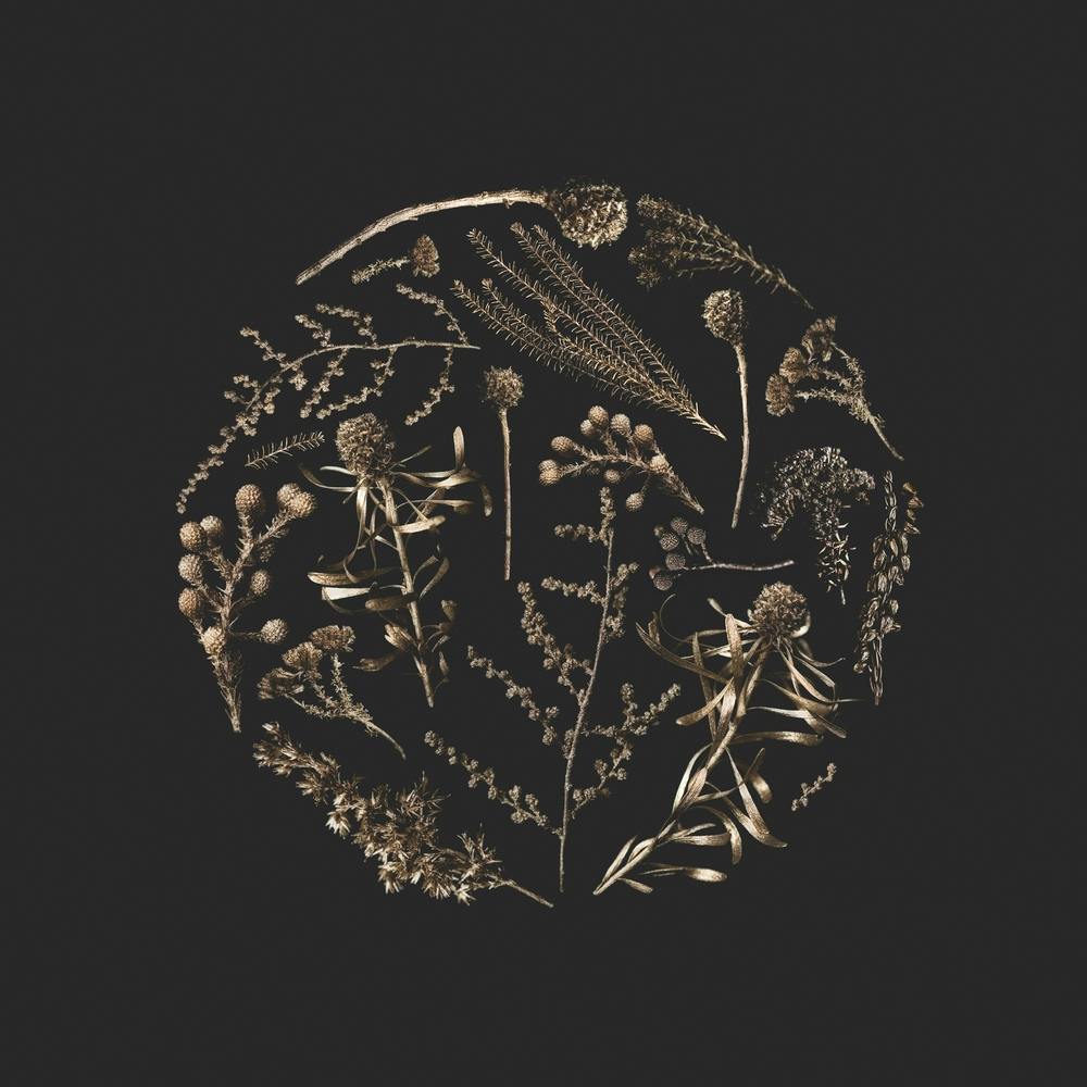 Golden Botanical Garden Square