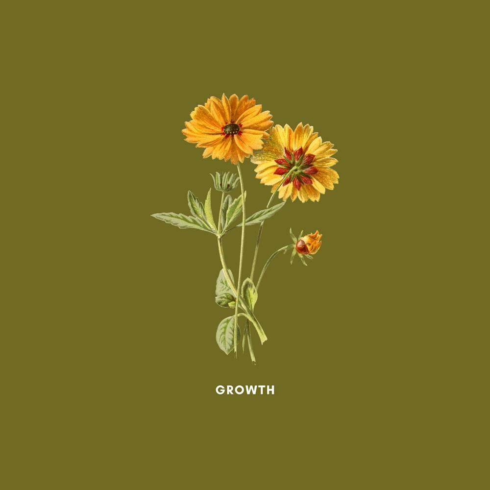 Growth
