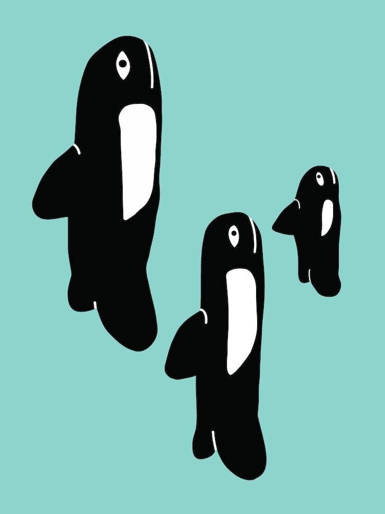 Whale