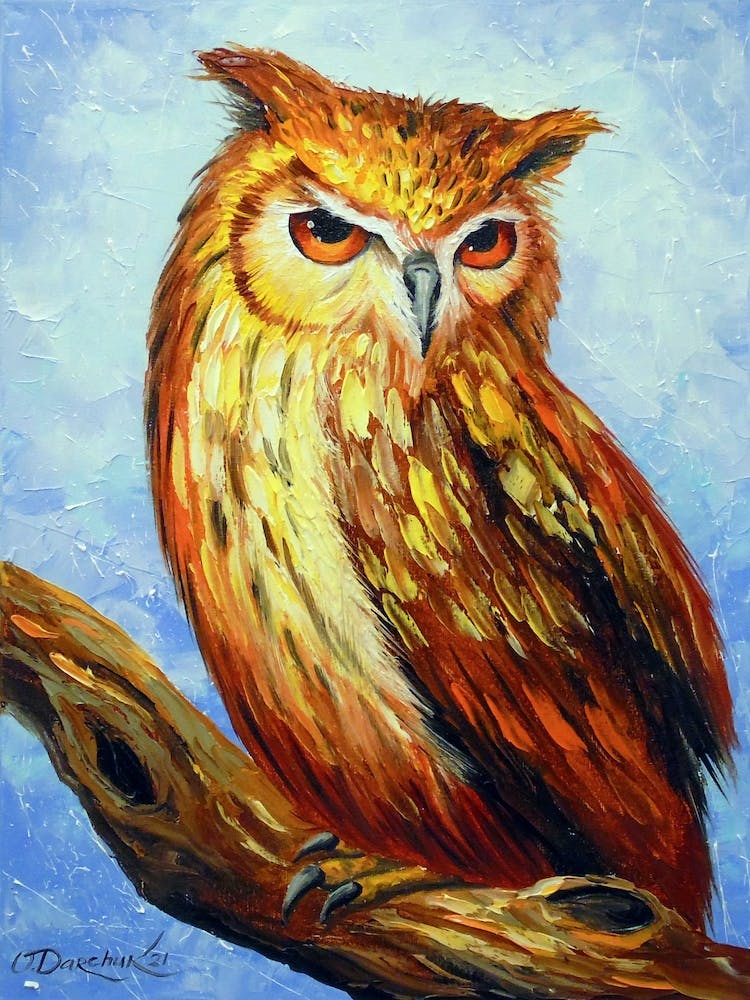 Owl on a branch 1