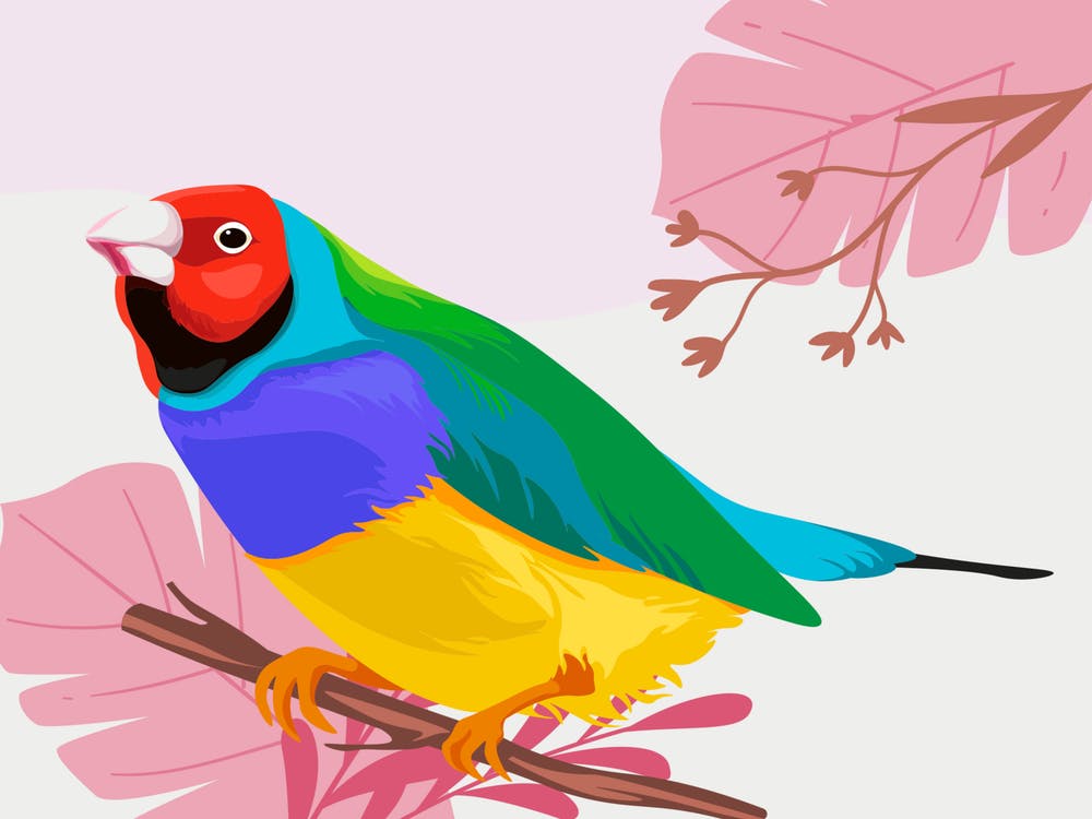 Parrot On Branch
