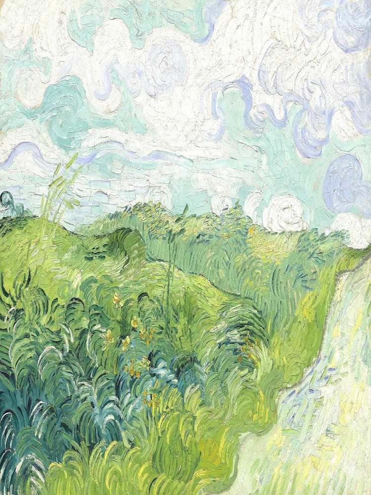 Field Of Sunflowers