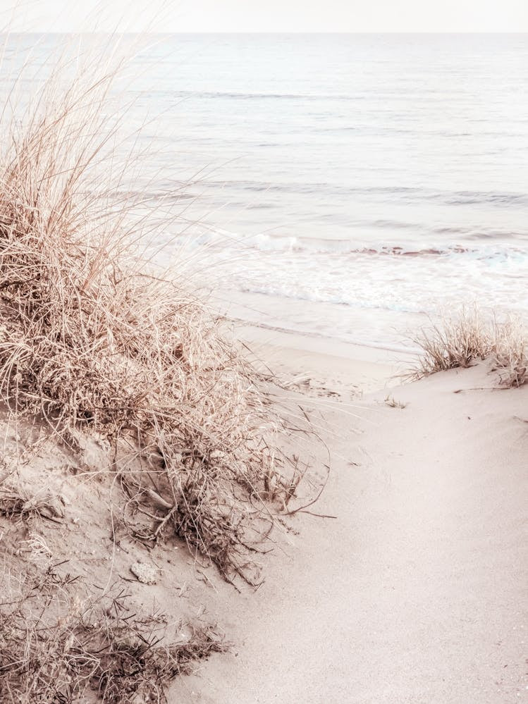 Beach sand dunes travel poster_2251406