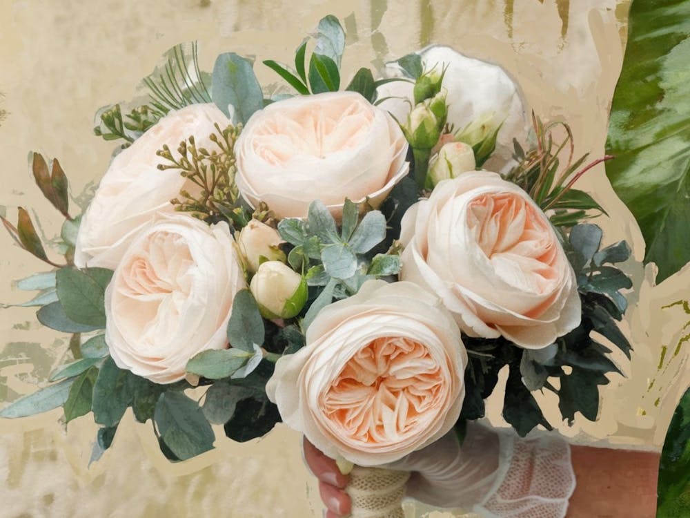 Pink Peonies and Eucalyptus - Floral