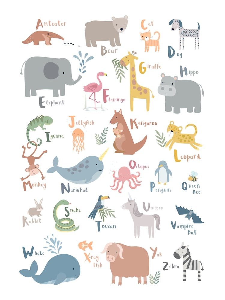 Animal Alphabet