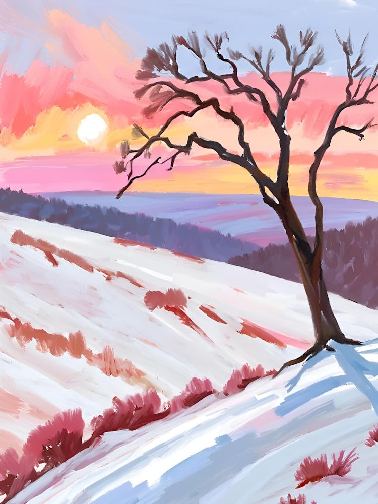 Lone Tree At Sunset 4