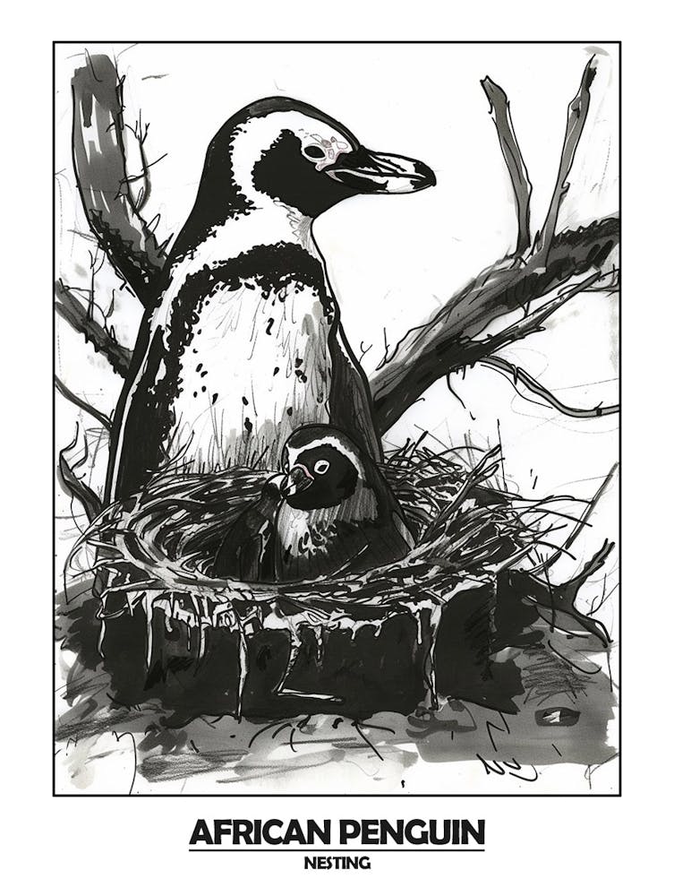 Penguin Nesting Poster 3