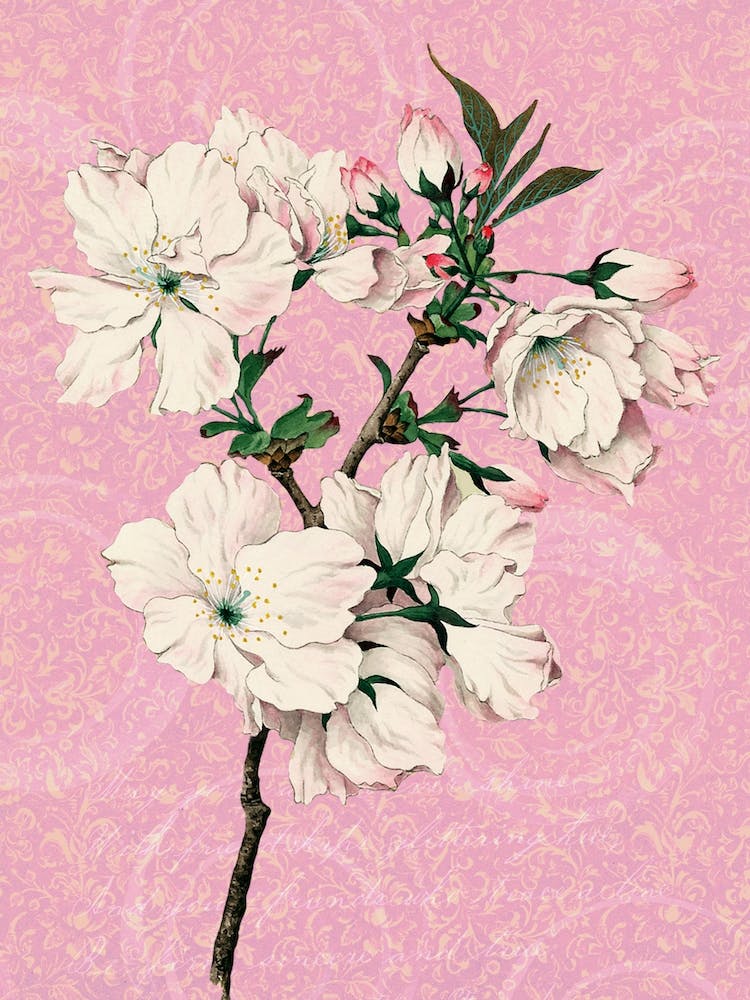 Floral Garden 3