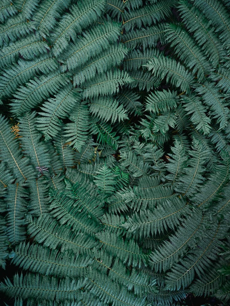 Greens