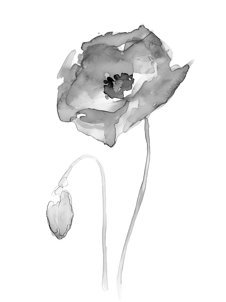 Mohn-Aquarellgemälde