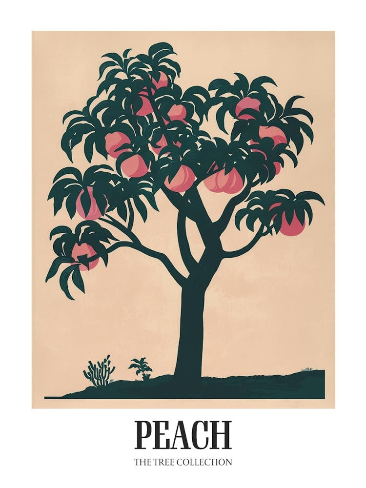 Peach Tree Colourful Illustration 2 Poster