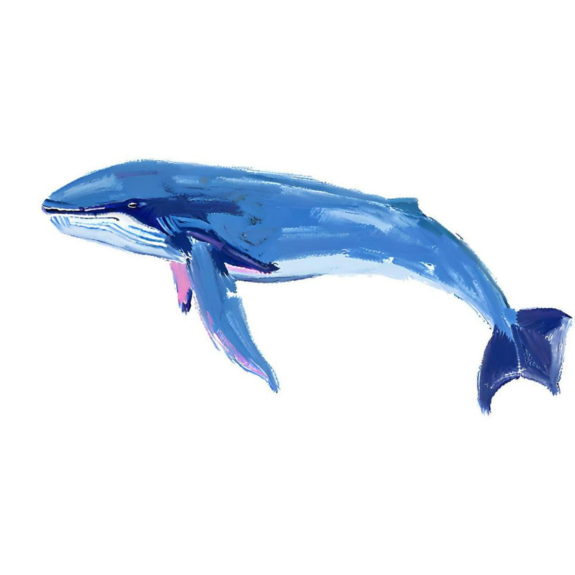 Blue Whale 06