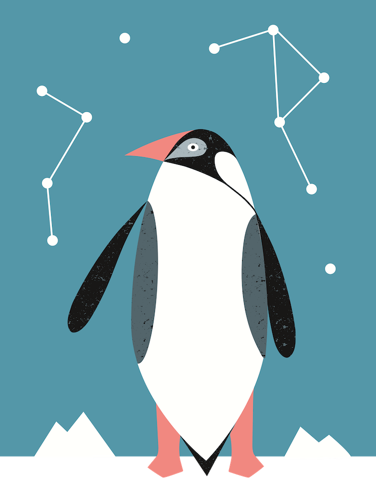 Pinguin Skandinavischer Stil - Arktische Tiere