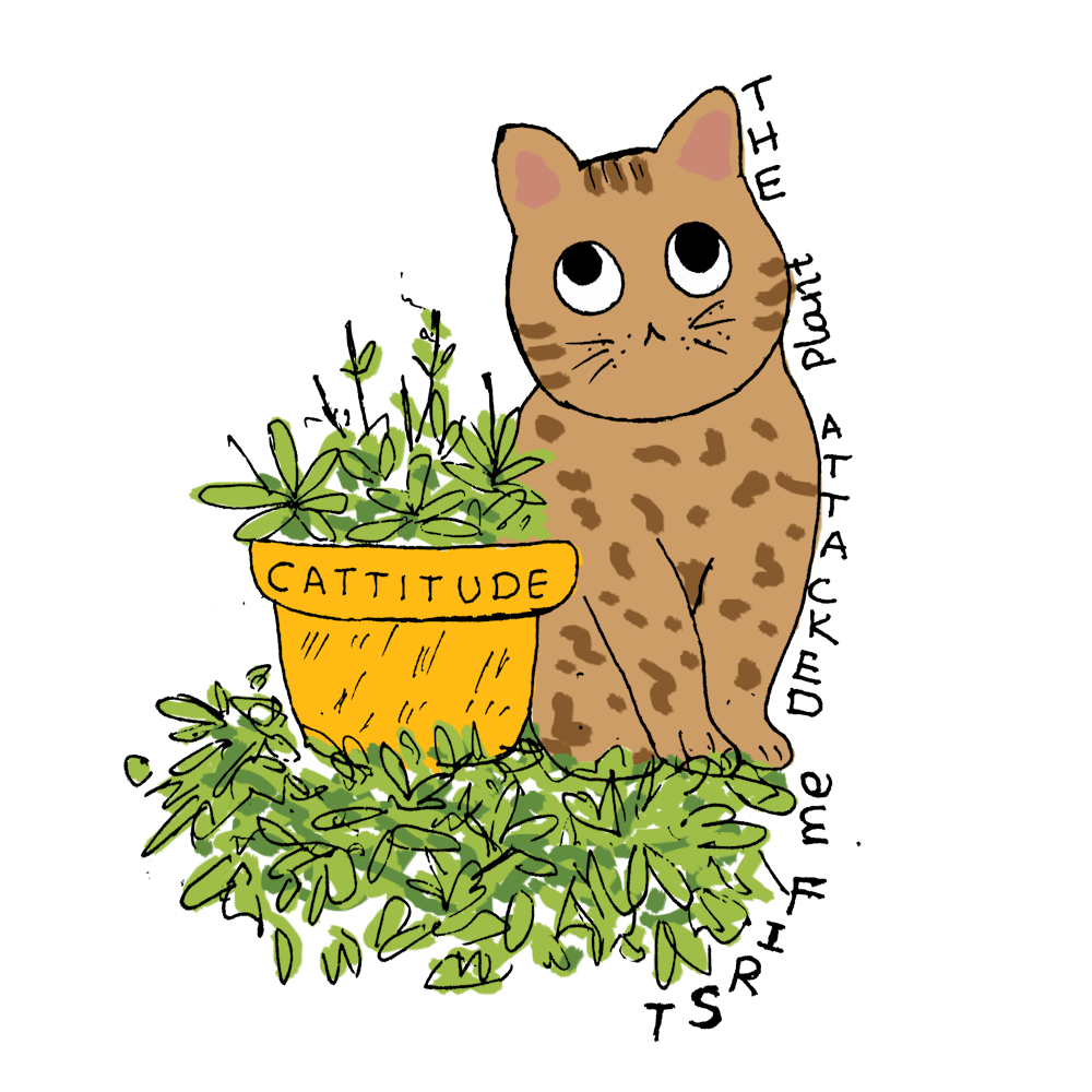 Katze kämpft mit Pflanze