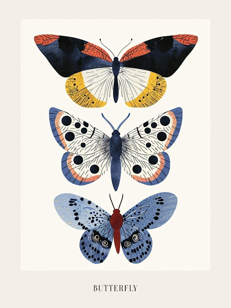 Colourful Insect Illustration Butterfly 10 Poster