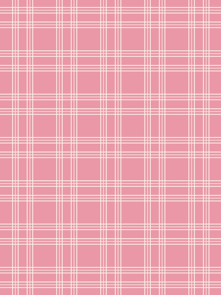 Dusty Pink Gingham | 02