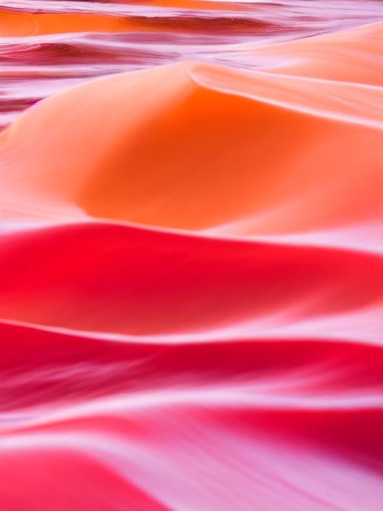 Bondi Beach, Sydney, Australia Pink Beach