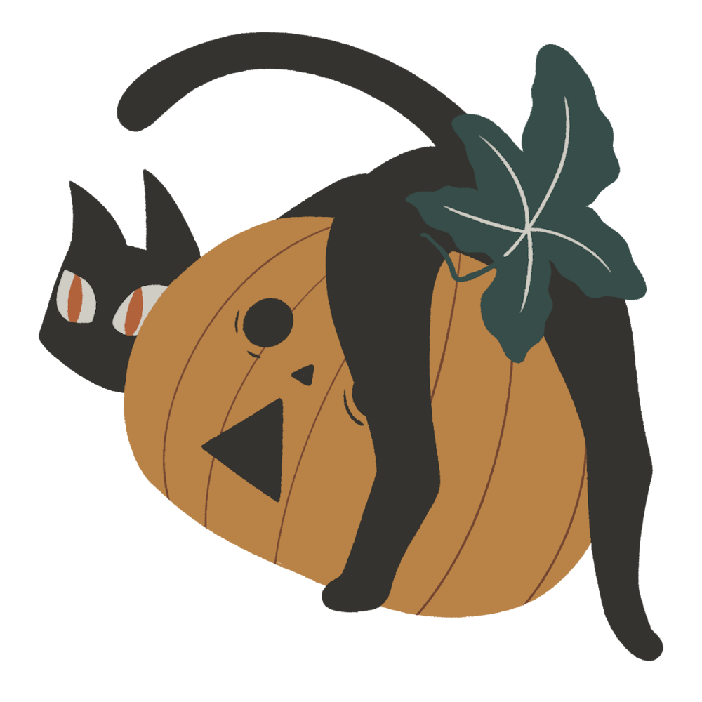 Curious Black Cat And Pumpkin