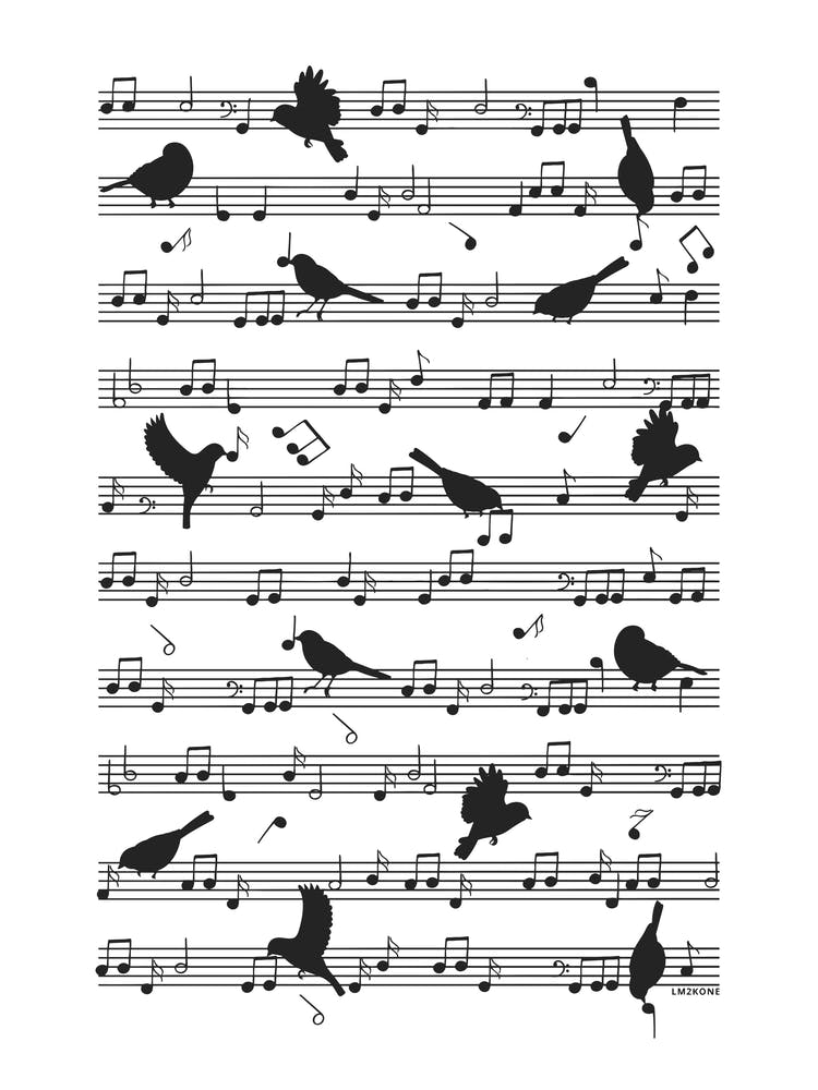 Birds on musical notes - black