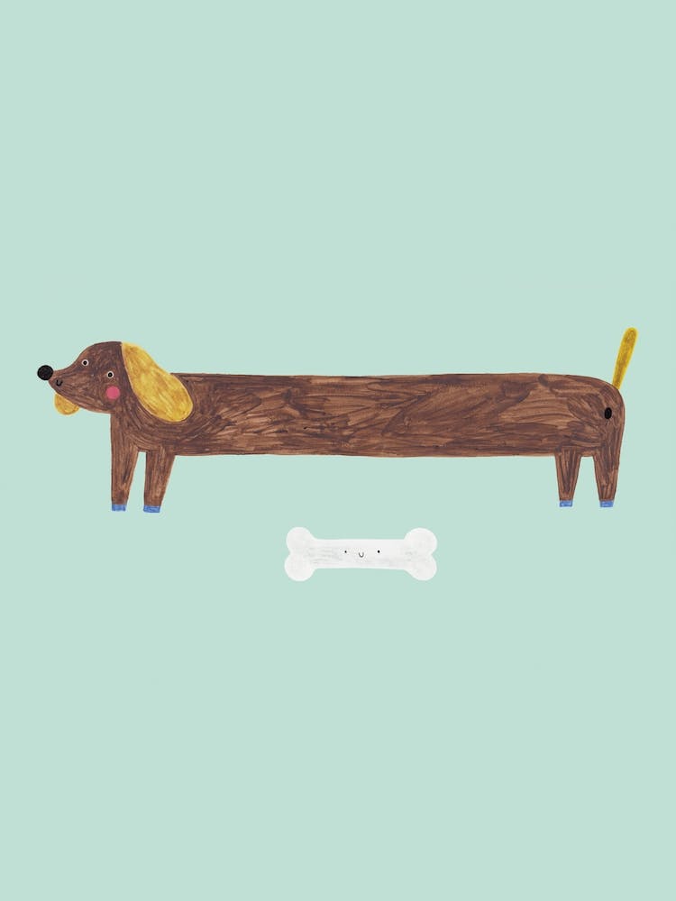 Dog & Bone