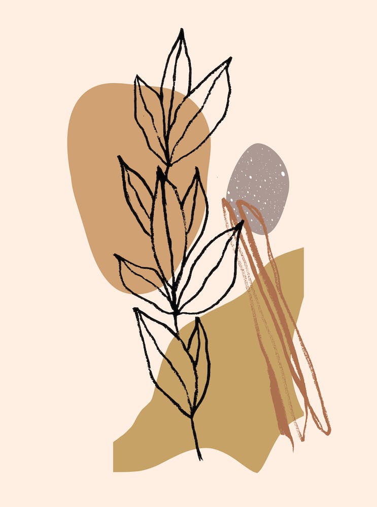 Formes Minimalistes de Branchettes