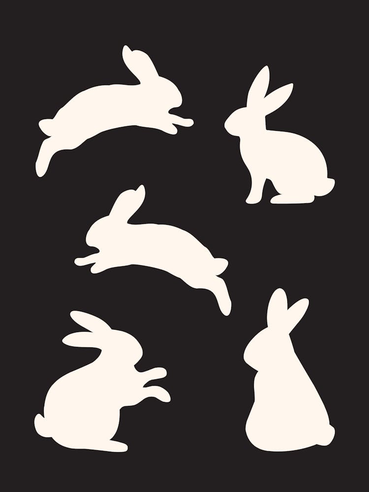 Lucky Bunny B&W