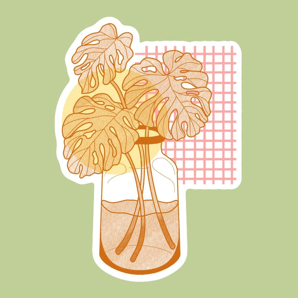 Monstera Daze