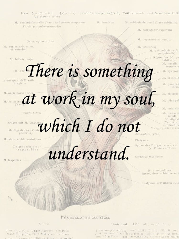 There Is Something At Work In My Soul Citation de Mary Shelley