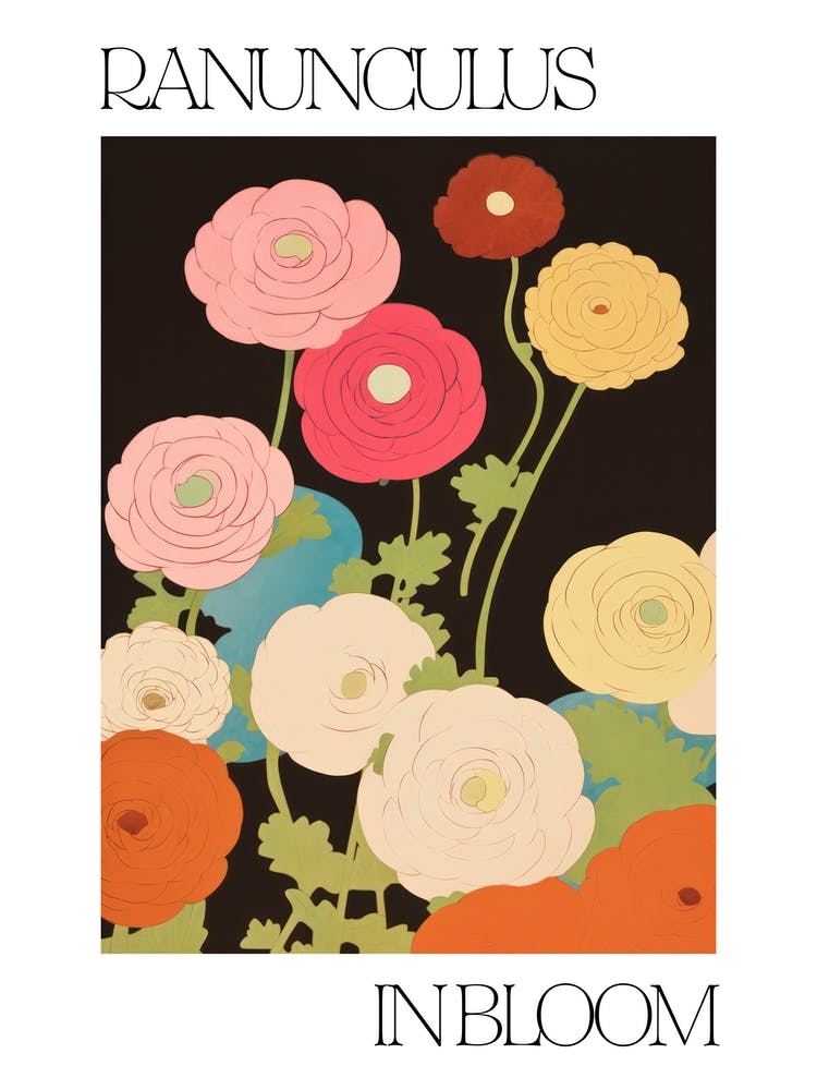 Ranunculus In Bloom Flowers Bold Illustration 1
