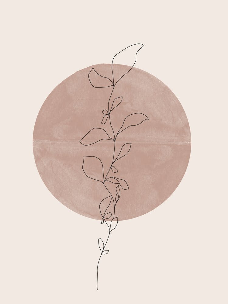 Plant In A Circle