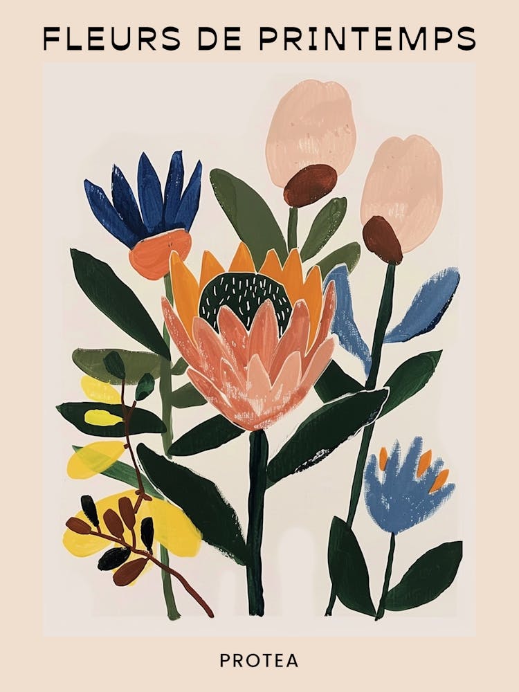 Spring Floral French Poster  Protea 4