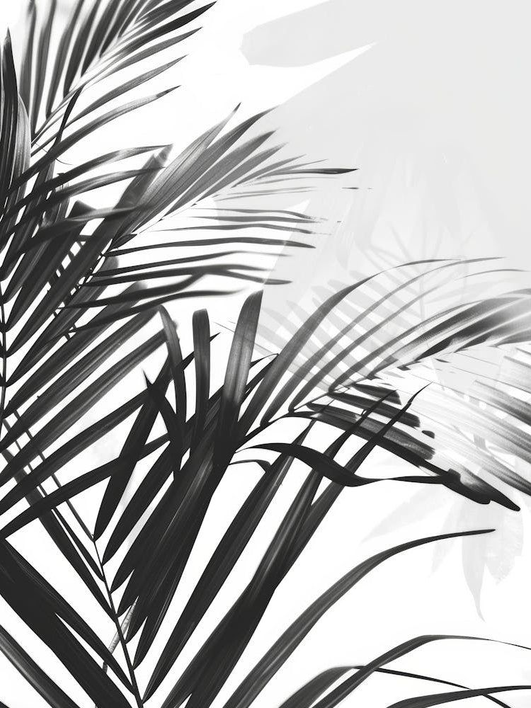 Black And White Palm Leaves 4