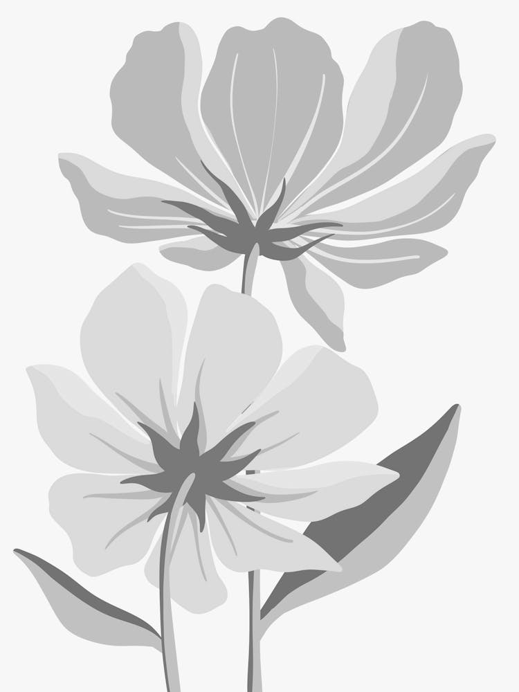 Flowers On A White Background 1