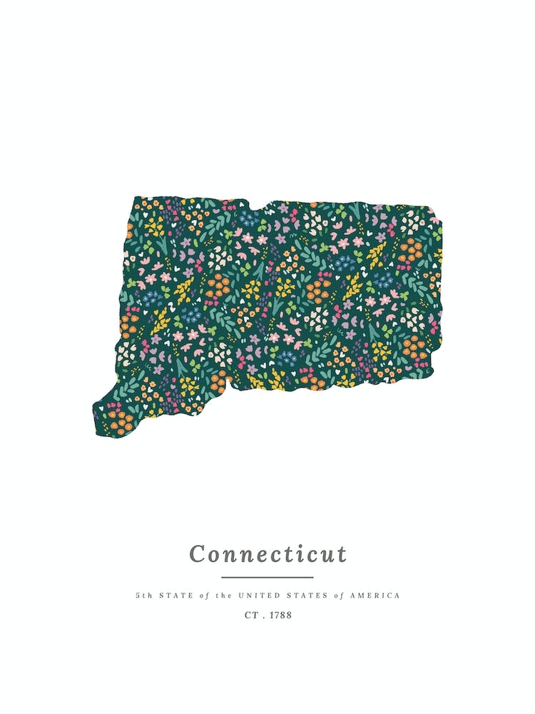 Connecticut State | Wildflowers on Juniper Green