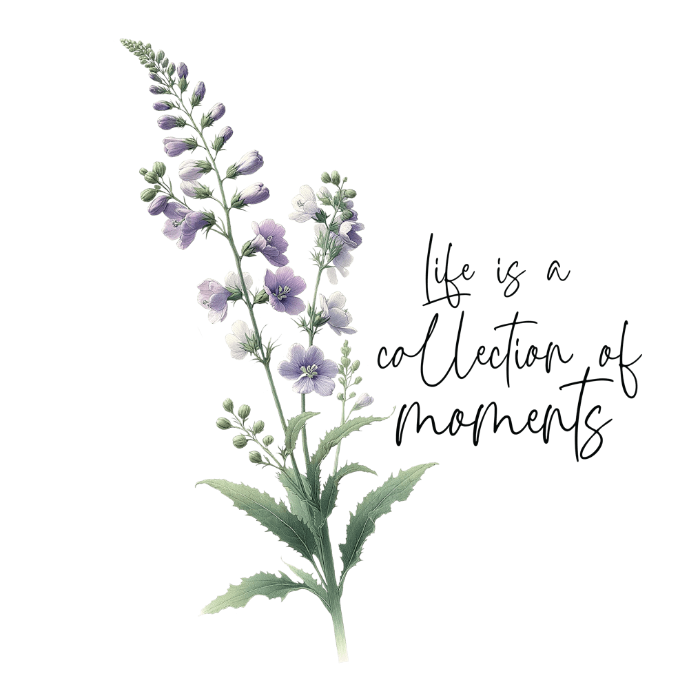 Larkspur - life is Collection of Moments