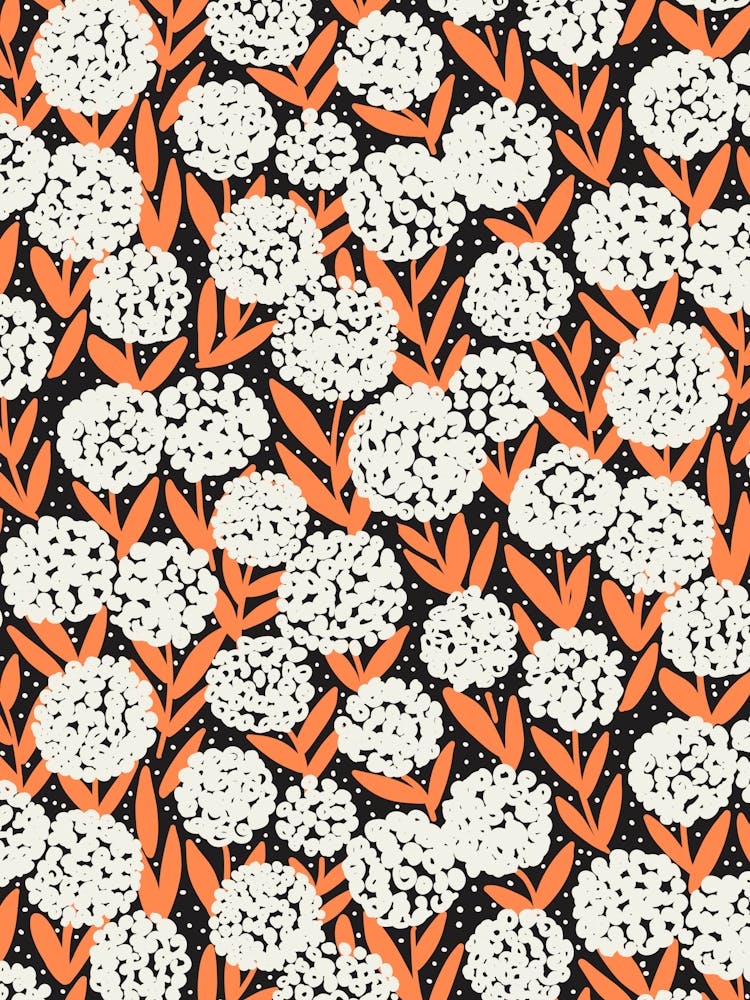 Blooming Abstract Allium Flowers White Orange Black