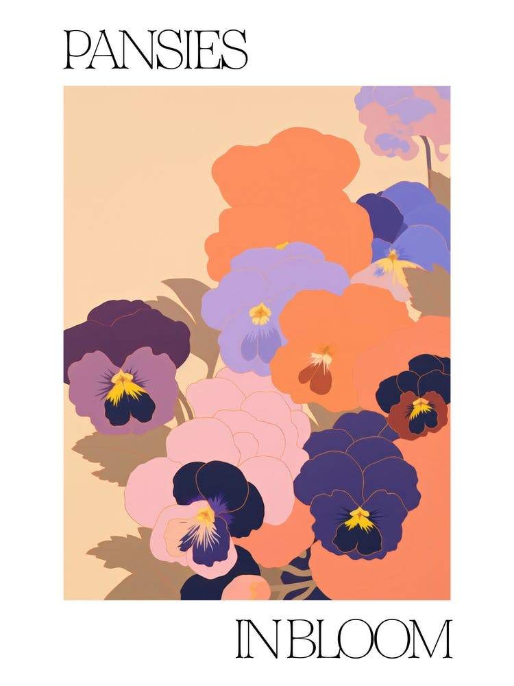 Pansies In Bloom Flowers Bold Illustration 1