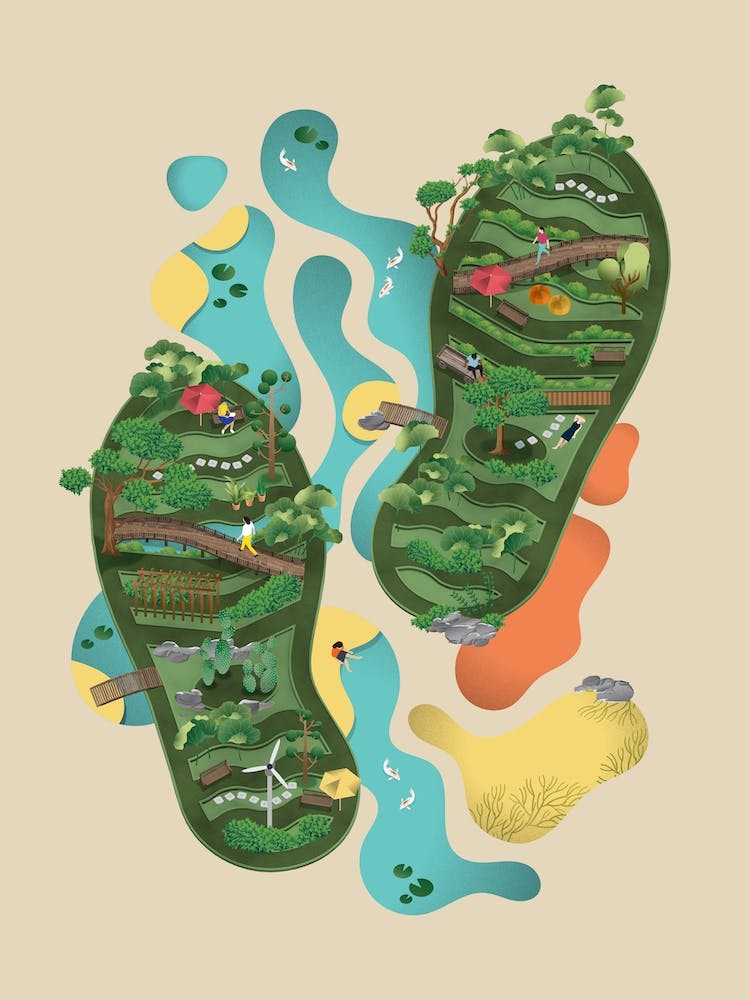 Footprint