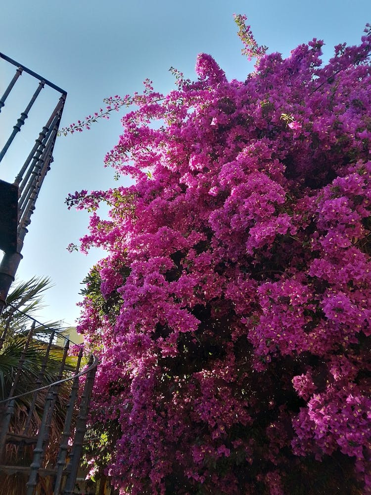 Img 20240603 192351 Hdr