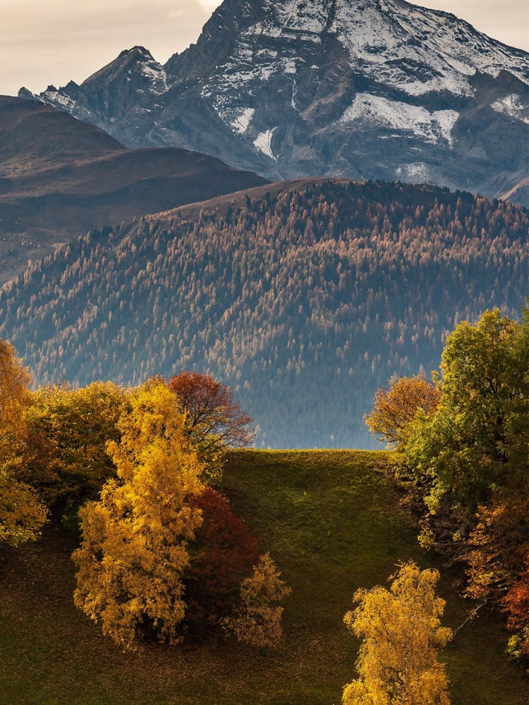 Autumn In Switzerland