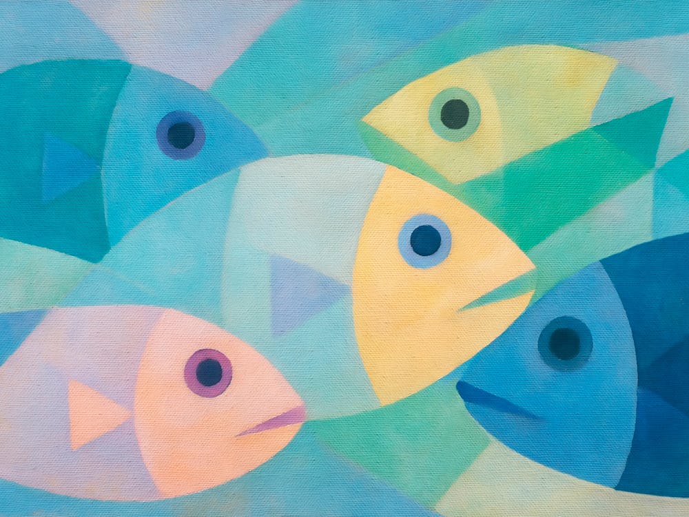 Rätselhafte Fische 04