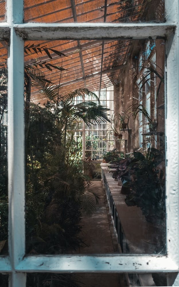 Vintage Greenhouse