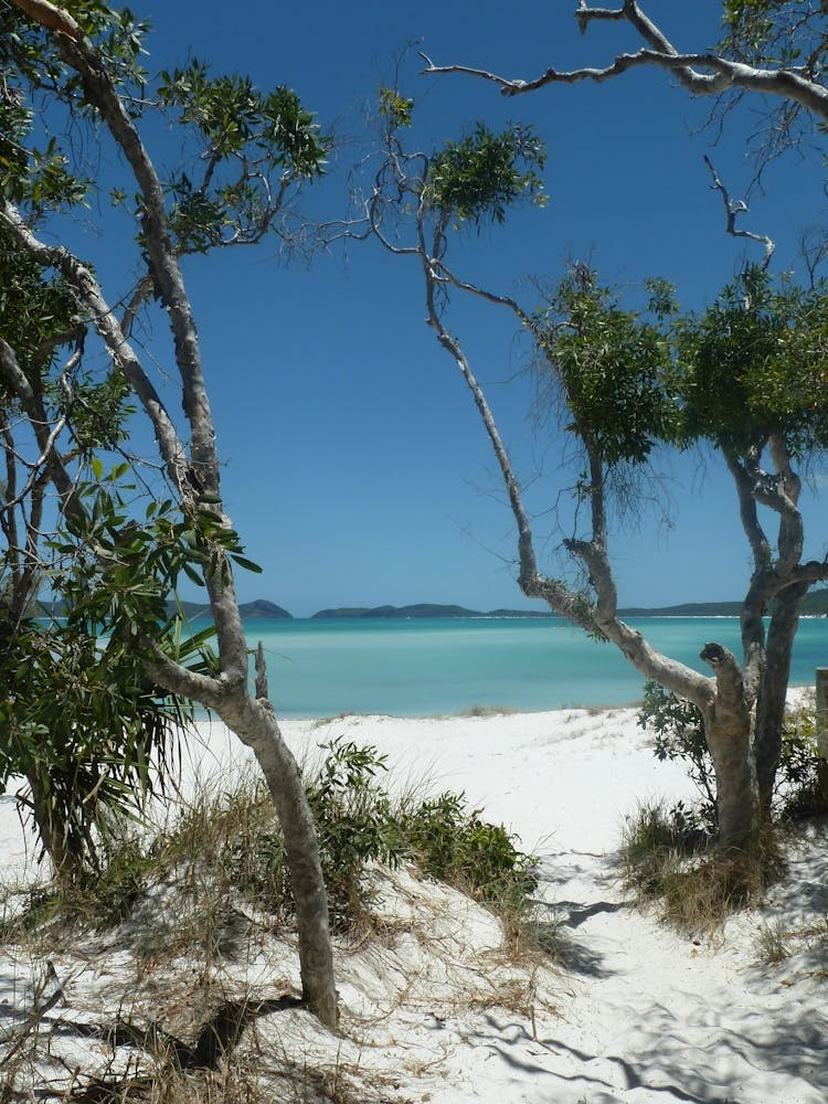 Whitsundays, Australia Blau 2 Fotografie